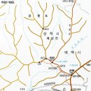 동경장 이미지