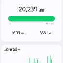 스티치스 | 2026 히어로 락 페스티벌 후기