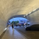 런 클럽 | [시드니 자유여행] ‘unofficial run club 언오피셜런클럽’ 시드니 러닝 후기