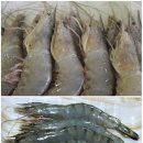 대하 이미지