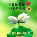 ♤양신재동(養身在動)♧ 이미지