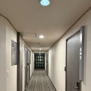 호텔하루 | 제주도 여행 3일차_제주 공항 시내 근처 호텔 하루 솔직한 후기 숙박 리뷰 잘 보고 가세요.