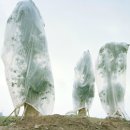 [김한들의 그림 아로새기기] ② 그린란드 빙산이 미술관에 온 이유? 이미지