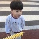 (주)지우푸드 - 68646 | (주)지우푸드