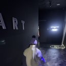 미노길 | 강릉온빛포레스트 미디어아트 설연휴기간무료개방! (구)숲사랑홍보관