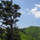 태백산맥 이미지