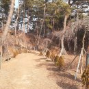 조산공원길 티스토리