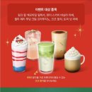 코코 | 스타벅스 신메뉴 코코 말차 후기