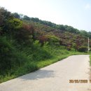 016-문산-016 이미지