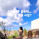 리피 스테이 이미지