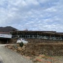 시골막걸리 이미지