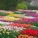 소만어린이공원 이미지