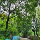 강남정공원 이미지