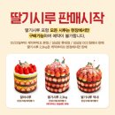 온누리신협 앞 교통섬 | 성심당 크리스마스케이크⭐종류 지점별 오픈런/웨이팅 비교 후기 현장구매후기 DCC,롯데백화점,본점
