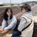 청춘갈피