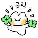 01-61 동구 이미지