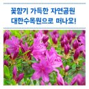 하루방화원 | 대구 사진 찍기 좋은 곳 대한수목원 솔직 방문 후기 : 강태진 기자