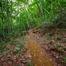 태안사계곡 이미지