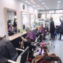 비비헤어비스 이미지