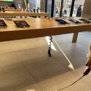 참깨나라식당 이미지