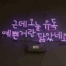 유독 티스토리