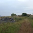 송산 3.1기념공원 이미지