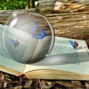 포토샵 기초 & GTQ 포토샵 2급 이미지