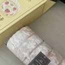 순수케이크 | 성심당 롤케이크 후기(순수롤, 요거트롤, 티라미수 비교)