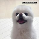 청년순대국(운정스타필드점)