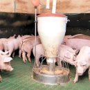 풍일농장 이미지