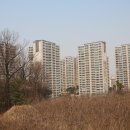 우면산3-27 이미지