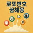 로또안경 | 로또 당첨의 열쇠! 꿈 해몽으로 번호를 잡아라