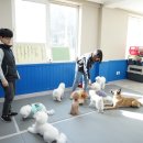굿독 네이버블로그