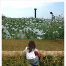 바다와 산사이 이미지