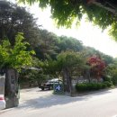 충효복사 이미지