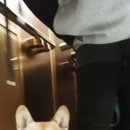 송담동물병원 이미지