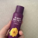 보라1통 네이버블로그