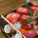 명화진료소 | 집콕놀이 DIY명화그리기 풍수해바라기