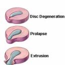 안산감동한의원 이미지