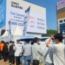 아르테