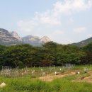 솔밭농장 | 서울 근교 주말농장 ‘솔밭농장’ 1년 임차 후기｜도심 속 힐링, 가족과 함께한 텃밭 체험