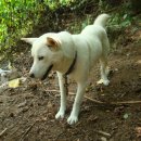 명월농장 이미지