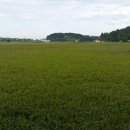 꽃지아일랜드 이미지