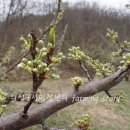 성구농장 이미지