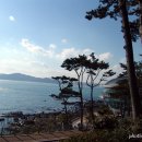 동백섬 이미지