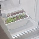 꿈을 키우는 한자급수 도전 | 식물 키우기 초보 식집사 초보에게 좋은 자동급수 화분 세트 내돈내산