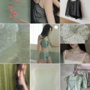 어펙션 - 서구 도솔로412번길 42 | 어펙션(affection) Ivy blouse (White) 후기·165 현실 착용샷 | 신생 디자이너 브랜드 추천 할인정보