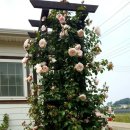 더가드너 이미지