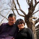 보룡1리 이미지