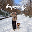 케이지이종합건설(주) | 가평 애견동반 여행지 강아지와 다녀온 호명호수 둘레길 소요시간